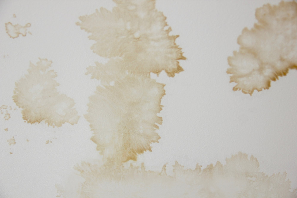 water-stained walls/ceilings